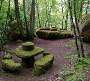 Stanza-Naturale-Opera-Bosco-Calcata