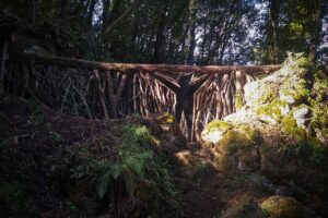 Scultura a Opera Bosco, Museo di Arte nella Natura a Calcata, Lazio.